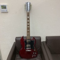 Grass Roots SGタイプ エレキギター グラスルーツ